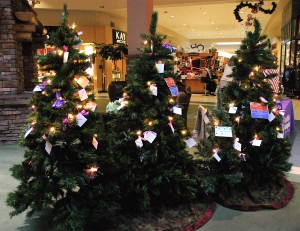 Ya son 20 años, que se asociará el Flagstaff Mall con Northland Hospice para su programa anual del árbol conmemorativo Light-A-Life. El programa ofrece a la comunidad una oportunidad para recordar y honrar a alguien especial a través de la dedicación de una luz festiva en un árbol de Navidad. Fotos: Frank X. Moraga / AmigosNAZ