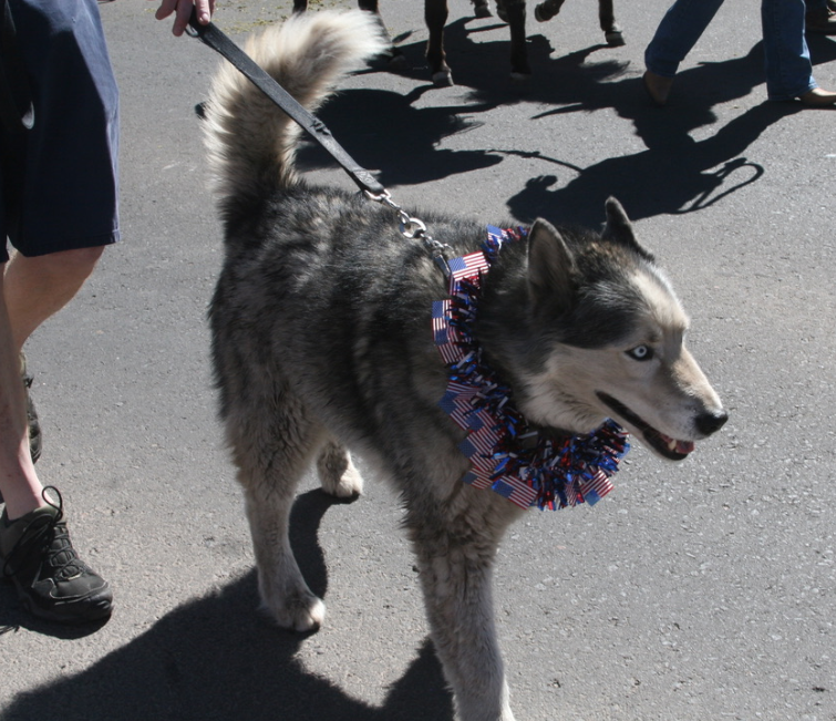 07-04-19 Flagstaff 4th-041